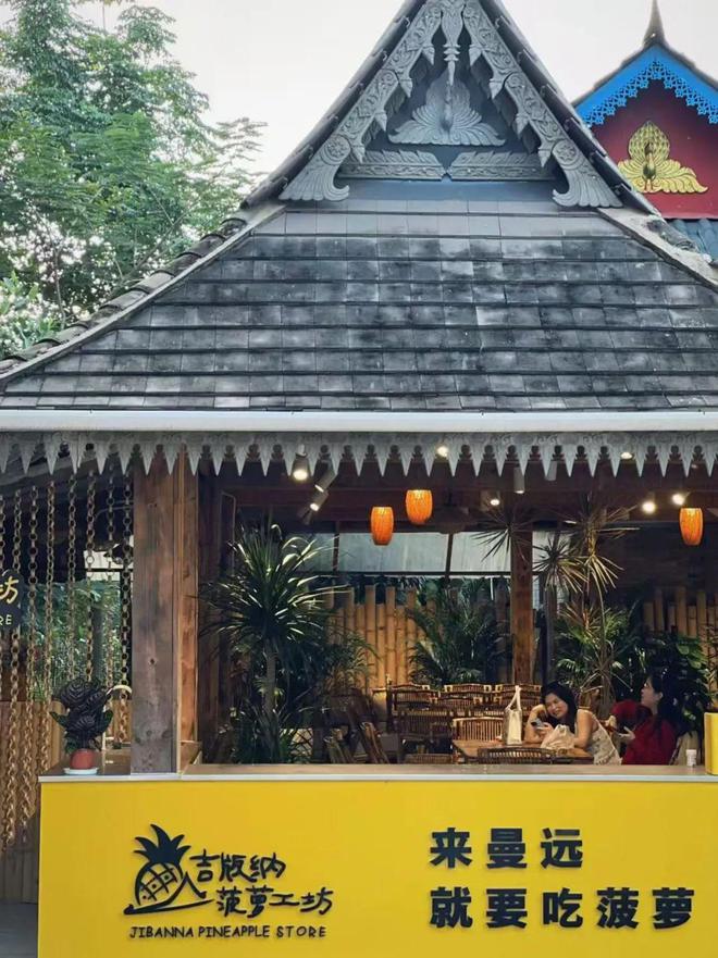 质高效使用衔接资金推进乡村振兴见闻录开元棋牌网站好雨知时节 ——云南省高(图6)