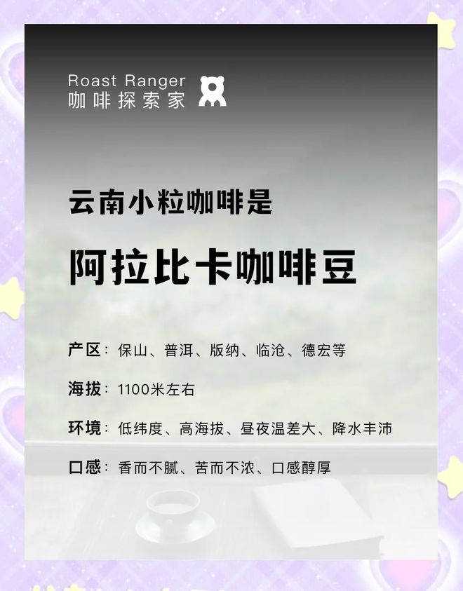 彩云之南的馥郁传奇开元棋牌云南咖啡：(图19)