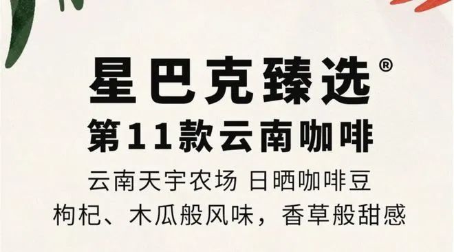 彩云之南的馥郁传奇开元棋牌云南咖啡：(图20)