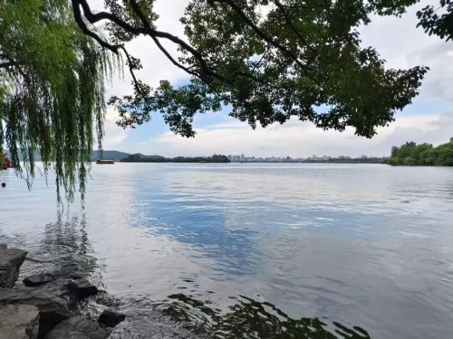 杭州连网红也没钱了开元ky棋牌逃离(图12) 杭州连网红也没钱了开元ky棋牌逃离(图12)